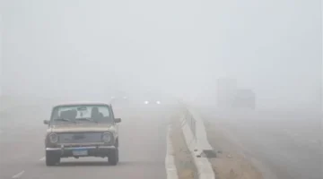 شبورة قارسة.. الأرصاد تحذر من صقيع غدًا 20 يناير 2026